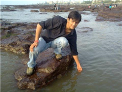 Photograph